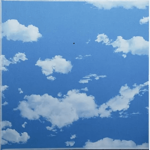SKY CLOUD PVC Plastic Ceiling Tiles - false ceiling product in Nepal
